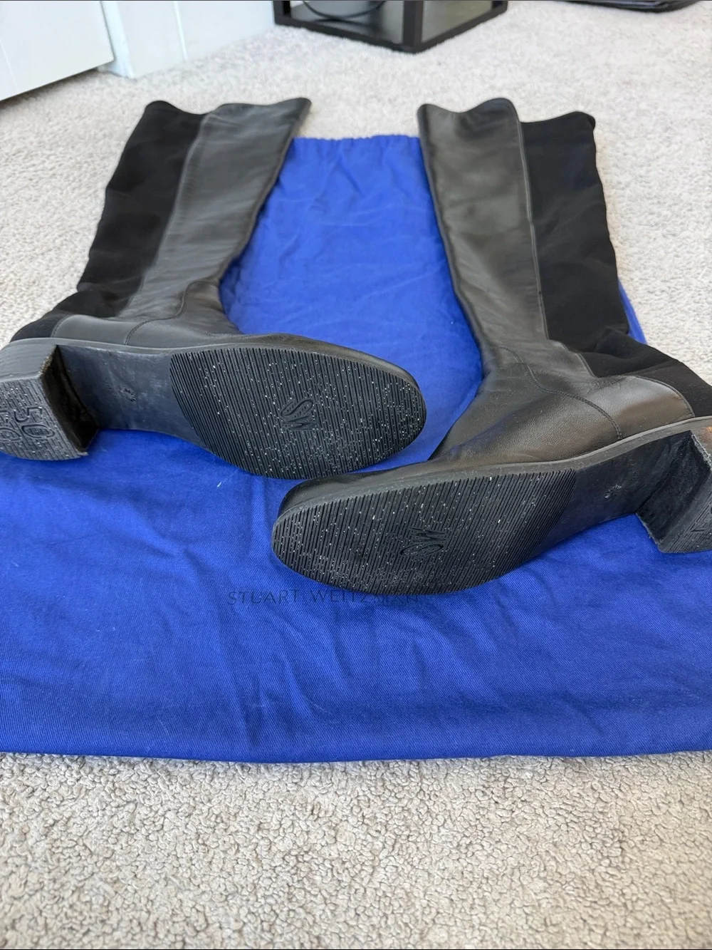 Stuart Weitzman elegant over
